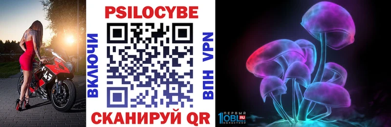 Псилоцибиновые грибы Psilocybine cubensis  Купить  Минусинск 